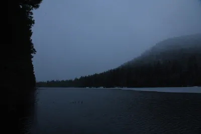 DSC_5814 (Large).JPG